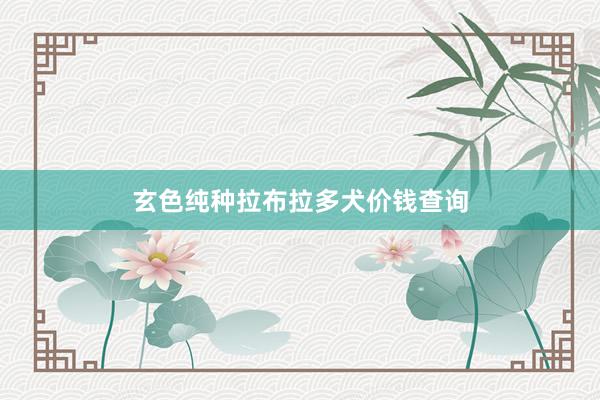 玄色纯种拉布拉多犬价钱查询